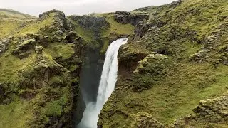 three trees make a forest / the glaciers are melting [iceland]