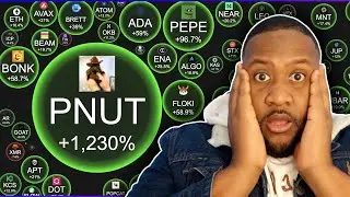 Como hacer Dinero con Meme Coin 10x Todo los días en SOLANA