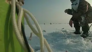Ловля корюшки на дамбе.