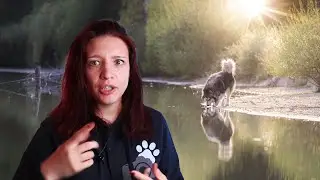 Pourquoi photographier en contre-jour peut ruiner tes photos