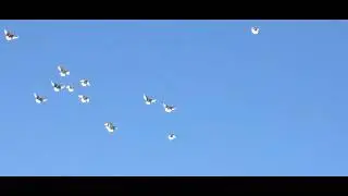Володя Рагузин Самара. Подъем плёких