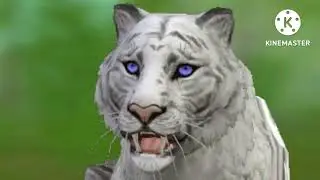 Se eu fosse a Cinderela / meme / wild craft 🤣