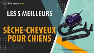 ⭐️ MEILLEUR SÈCHE CHEVEUX POUR CHIENS - Comparatif 2024