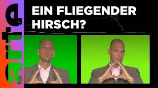 Der Drachen | Karambolage | ARTE