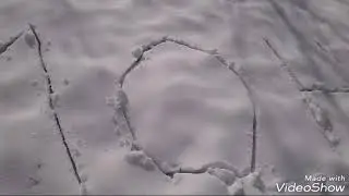 Алыкул Осмонов орто мектеби