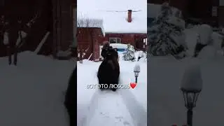 САМЫЙ ДРУЖЕЛЮБНЫЙ
