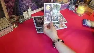 18+ Что будет с Сергеем Фургалом? Гадание на картах