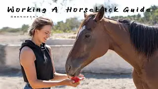Working as a horseback guide Santorini || Summer job abroad