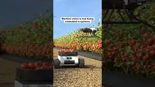 Discover how machine vision is advancing agriculture in our latest episode of Two Facts & A Fiction.