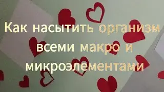 Какие макро и микроэлементы содержит человеческий организм и как их пополнять