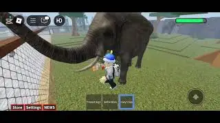 Roblox Crazy Zoo