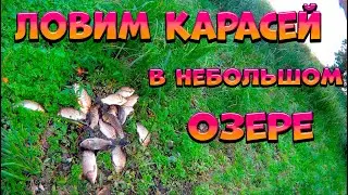 Рыбалка на карася в маленьком озере