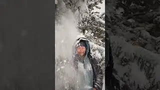 Охлаждающее видео в летнюю жару #shorts
