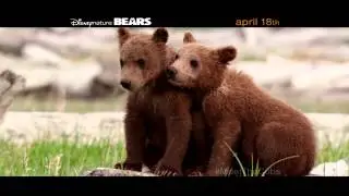Bears - "Journey" TV30