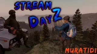 Выживание в DayZ | Где найти кан*абис?#выживание #dayz #survival   #shorts