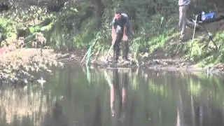 Поймали карпа