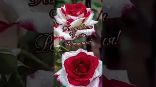 С днём рождения! 🌹🌹🌹