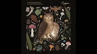 Maxxim, flanerr  - Moments of Wonder (Songuara)