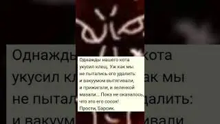 прости .... Барсик но это все равно смешно 🤣 #мем #мемы