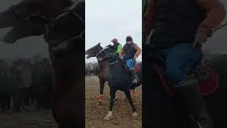 бузкаши зафаробод дийорполвон бо аспи хамер 17 02 24🇹🇯🇺🇿🇰🇿👍