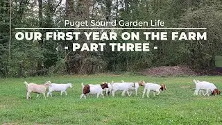 Our First Year on the Farm - Part 3
