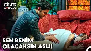 Dayan Dayanabilirsen Ali Cabbar - Çilek Kokusu