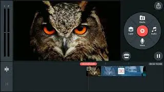Eye Zoom Effect Transition Kinemaster Tutorialeasy Steps  Kinemaster 2020