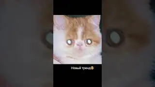 Кричу
