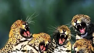 Funny Facts by Untold Mysterious Facts PART - 1