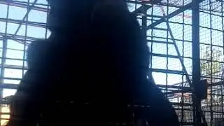 Шимпанзе просит соломку в тайгане