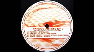 Wyrus & Dastin - Logical (B2) [SUBCULT12EP2]