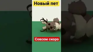 Новый пет из мифик яйца совсем скоро обнова