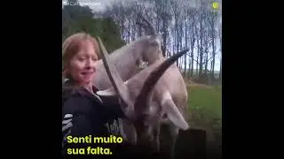 Incrivelmente fantástico