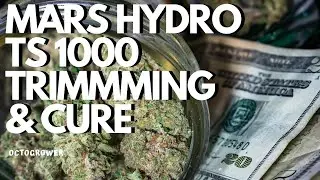 Mars Hydro TS 1000 Trim & Cure | OCTGROWER