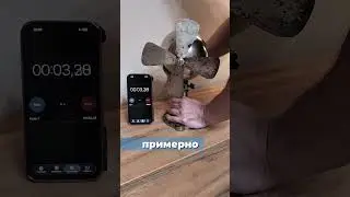 Wind-up Fan