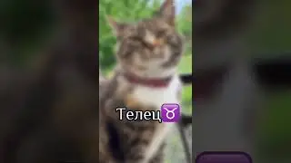 Кто ты по знаку зодиака из а ну-ка давай-ка!