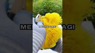 orang ini mendapat keajaiban yang tak terduga