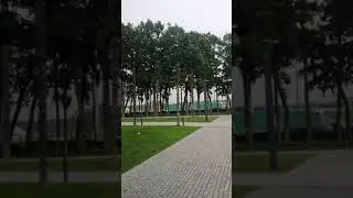4 июля 2021 г.