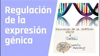 Regulación de la expresión génica