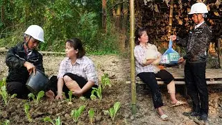 Tieu Lam's Difficult Life - A Kind Engineer Came to Help Tieu Lam Grow Vegetables| Lí Tiểu Lâm