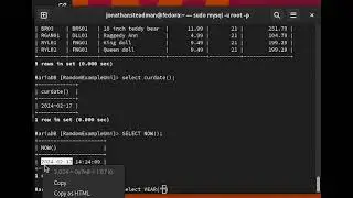 MariaDB - Basic Date and time functions.