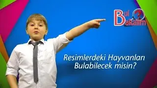 RESİMDEKİ HAYVANLARI BULABİLİRMİSİN