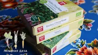 МОЙ ПЕРВЫЙ ОПЫТ ПОСЕВА МИКРОЗЕЛЕНИ. СЕМЕНА ИЗ ГЕРМАНИИ. BIO MICROGREENS REWE