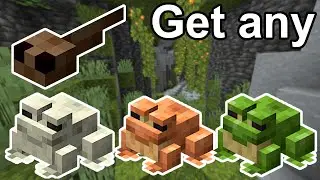How to get diferent colour Frogs | Minecraft 1.21+