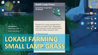 Lokasi Farming Small lamp Grass - Genshin Impact Indonesia