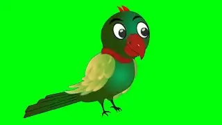 Talking tota in green screen/parit in green screen
