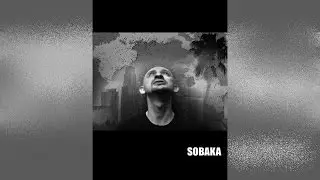 Sobaka *2008 Movie * Crime, Drama, Thriller *