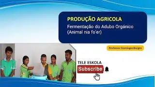 Episódio 467, Produção Agrícola, aula 1, Fermentação do Adubo Orgánico (Animal nia fo'er)