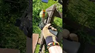 Airsoft Glasses - Torture Test (Swisseye Raptor)