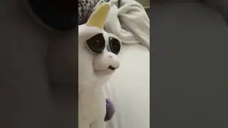 TINA WHAT DO U HAVE?